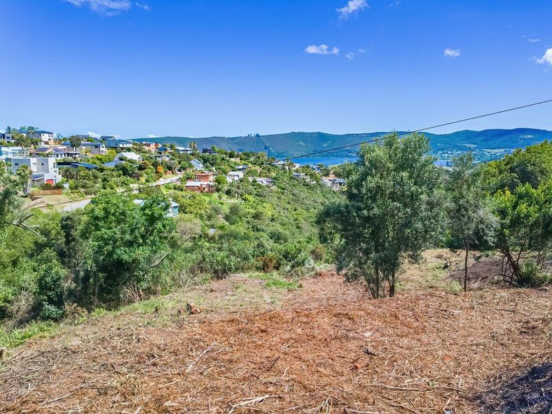 A scenic elevated view overlooking a residential hillside, lush greenery, and distant water, showcasing the natural landscape of the vacant residential land.