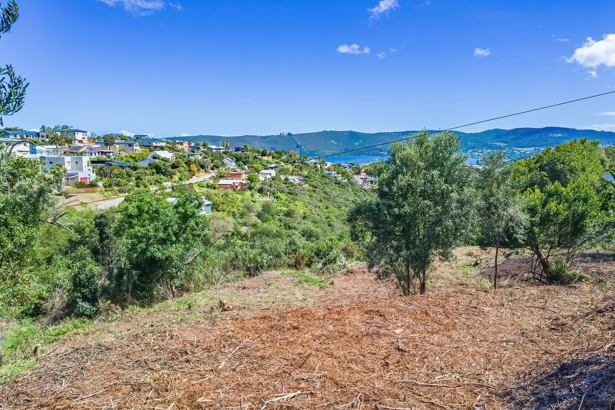 A scenic elevated view overlooking a residential hillside, lush greenery, and distant water, showcasing the natural landscape of the vacant residential land.