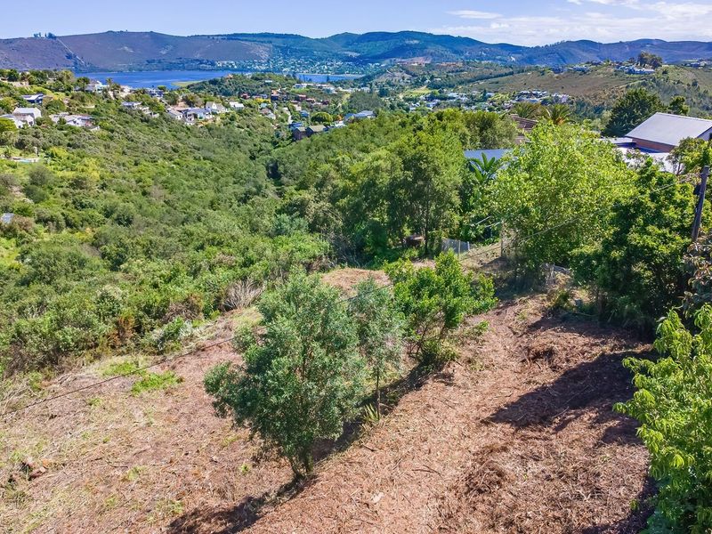 Elevated view of the vacant residential land featuring sloped terrain and native vegetation, overlooking the surrounding valley and distant water.