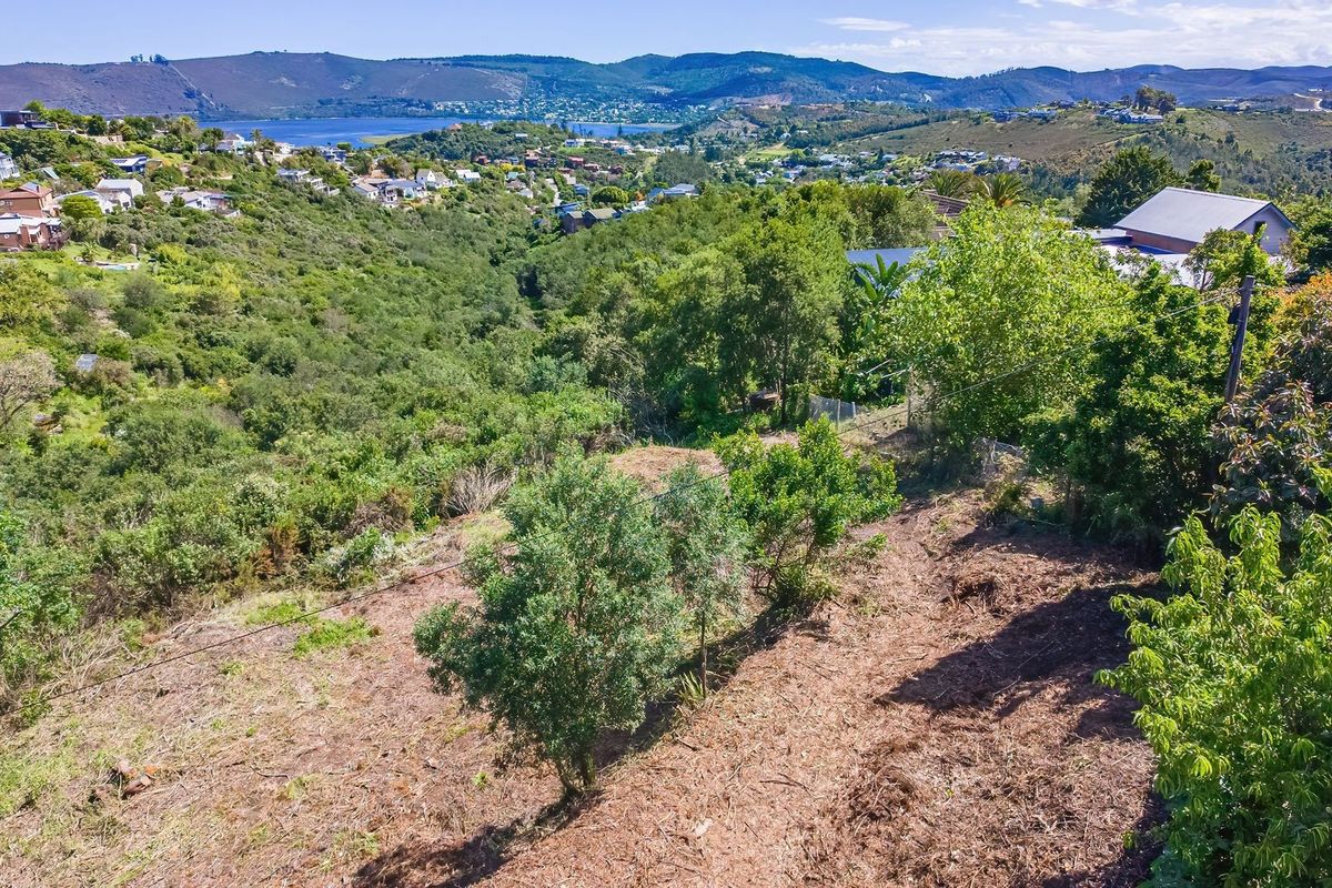 Elevated view of the vacant residential land featuring sloped terrain and native vegetation, overlooking the surrounding valley and distant water.