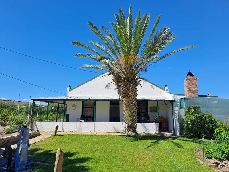 Rear view of a house featuring a covered patio, brick chimney, and a large palm tree set within a garden area.