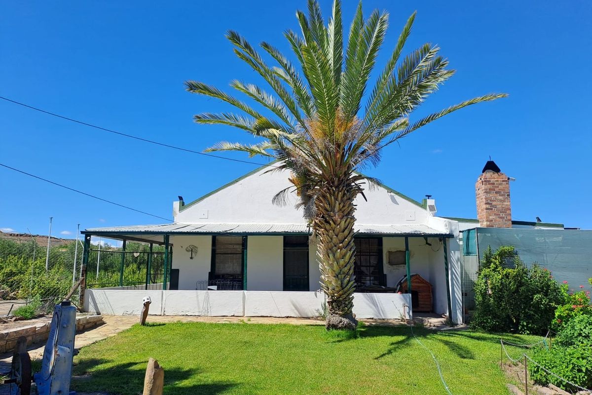 Rear view of a house featuring a covered patio, brick chimney, and a large palm tree set within a garden area.