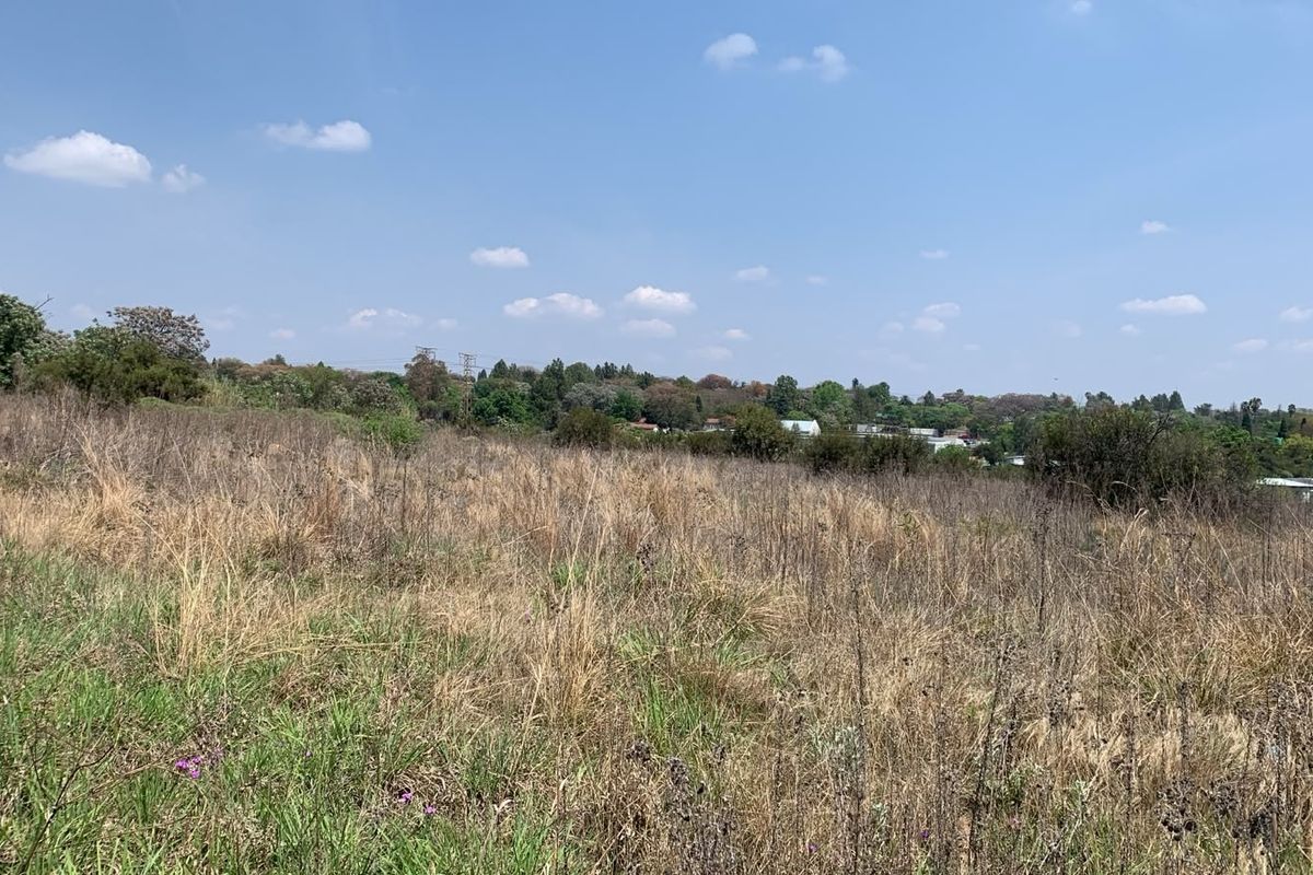 A view of an undeveloped residential plot featuring natural grass and vegetation, suitable for future construction.