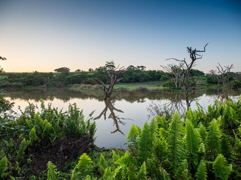 A scenic view of a natural dam on the small holding, featuring tranquil water and surrounding indigenous vegetation.
