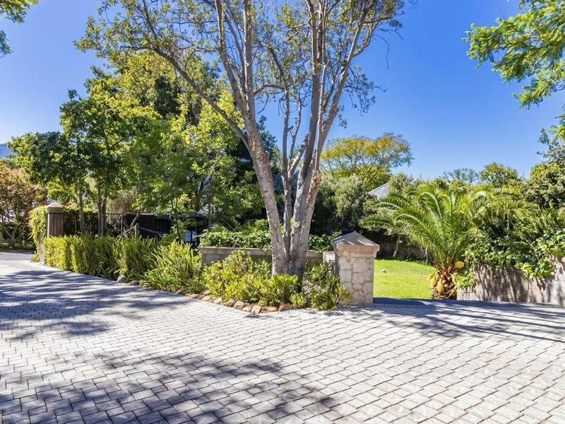 Its more than a house, its an oasis. - Photo 2