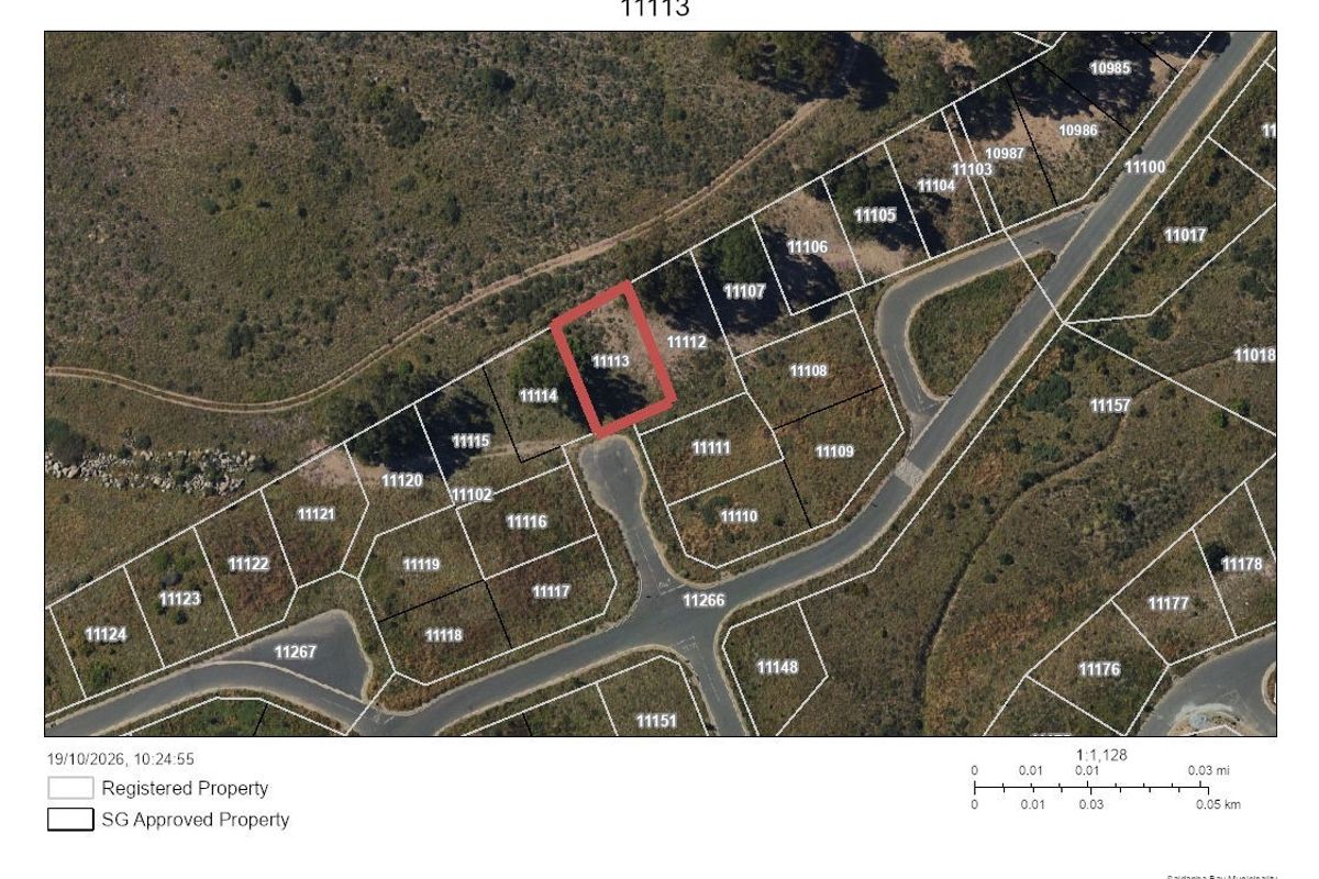 An aerial cadastral map showing the location and boundaries of the residential vacant land plot 11113 within the estate.