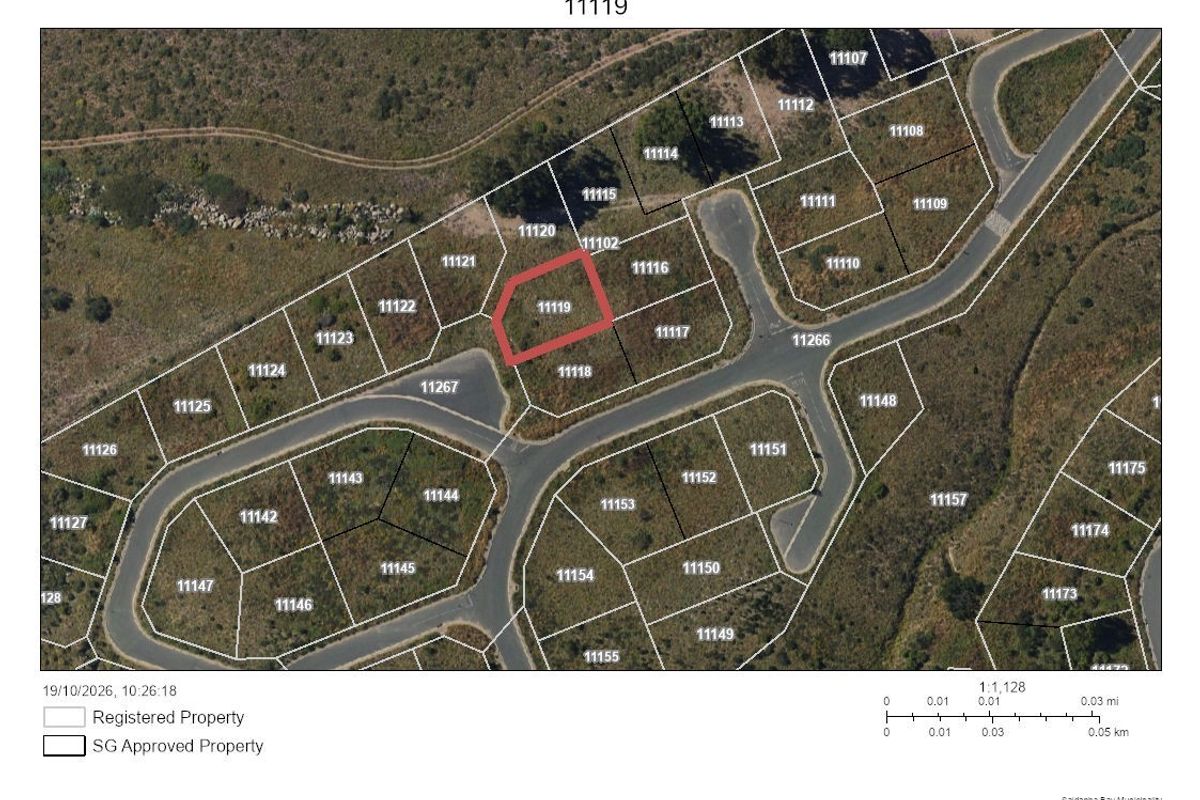 An aerial cadastral map showing the location and boundaries of the vacant residential plot 11119 within the estate layout.