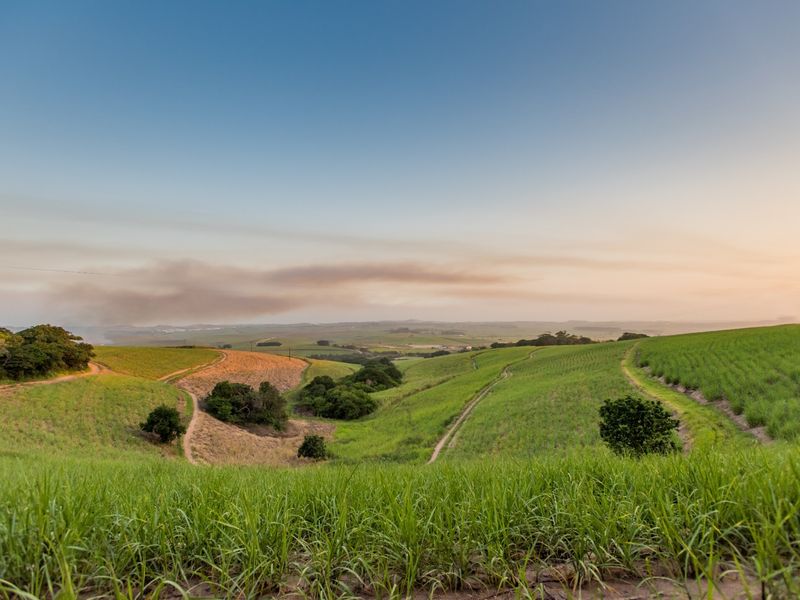 A scenic view of expansive rolling agricultural fields and hills under a clear sky, showcasing the natural landscape of the small holding.