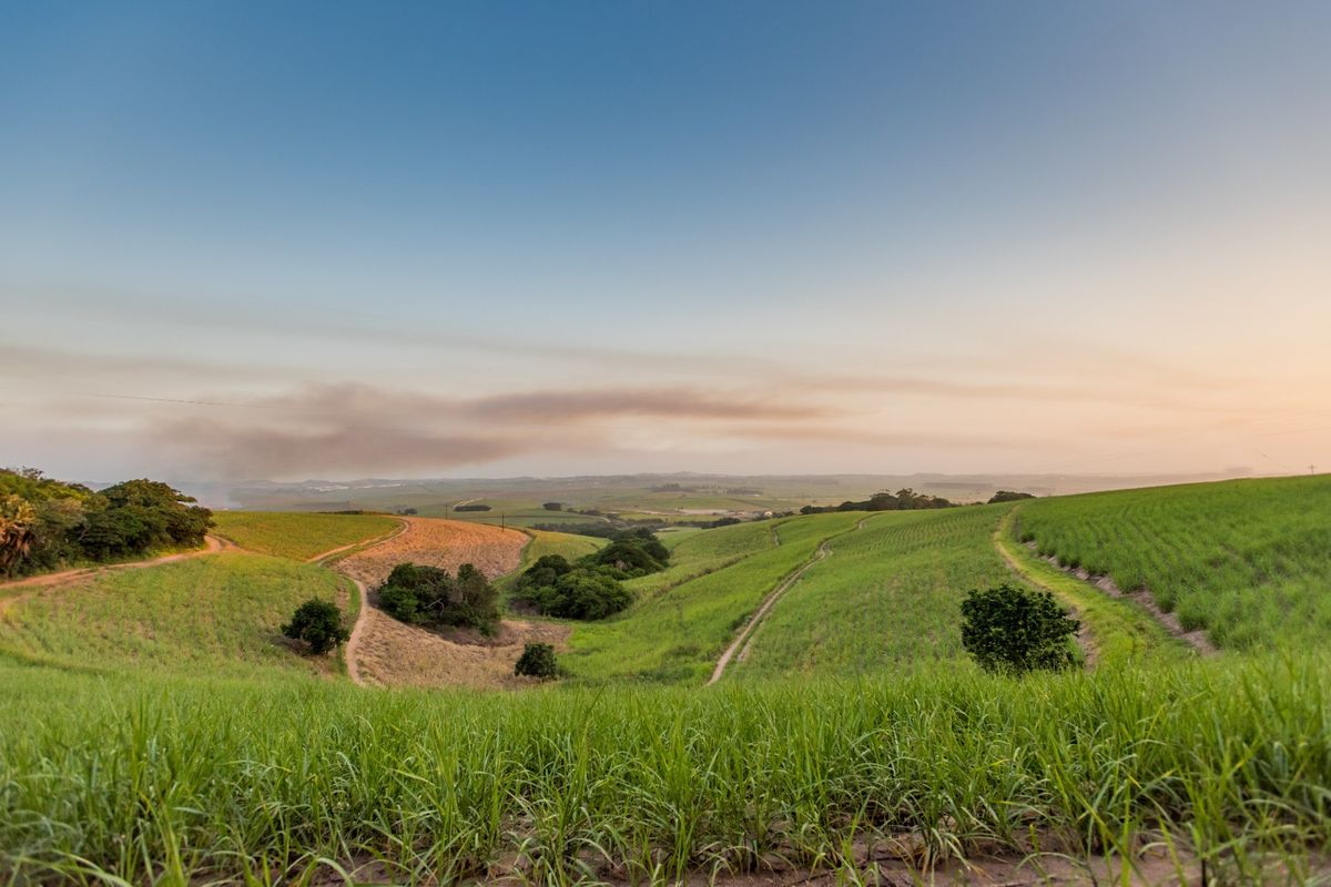 A scenic view of expansive rolling agricultural fields and hills under a clear sky, showcasing the natural landscape of the small holding.
