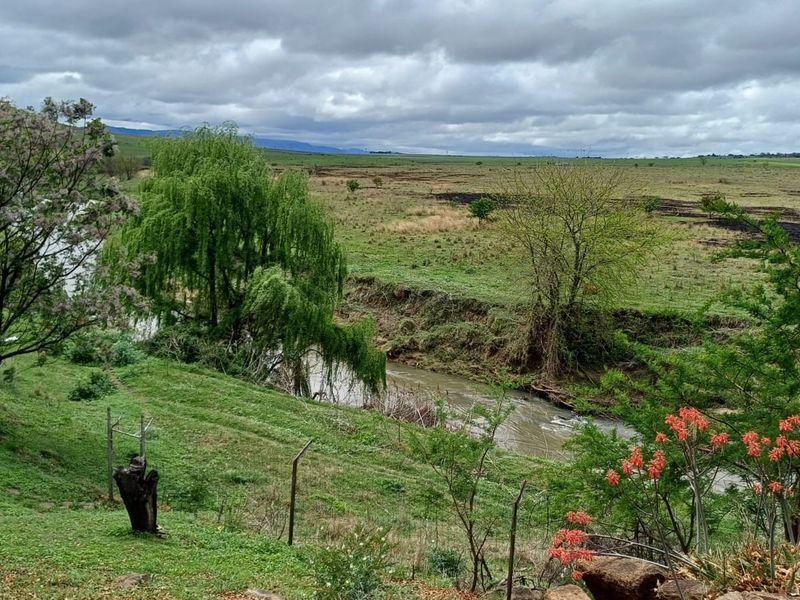 A scenic view of the farm landscape featuring a flowing river, open pastures, and established trees.