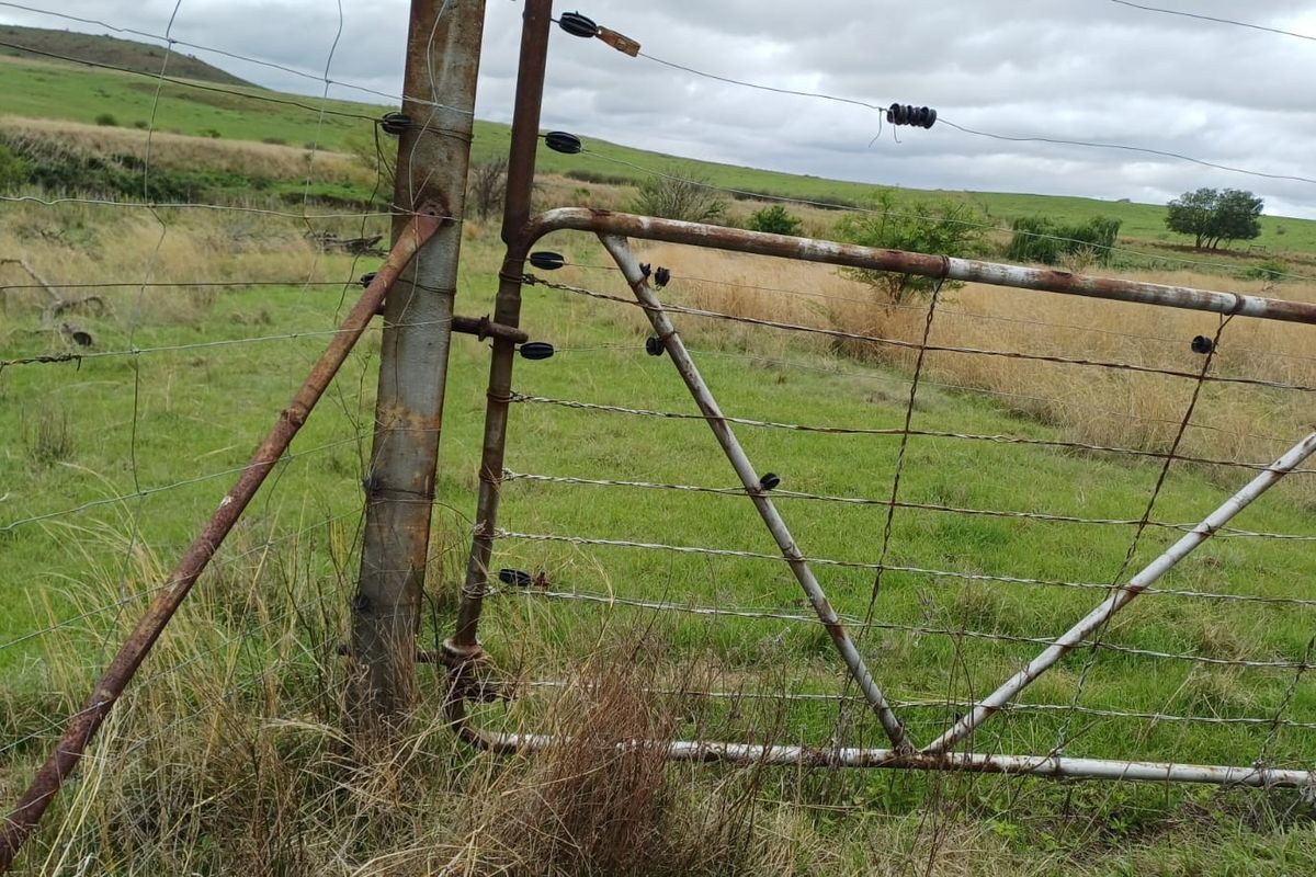 A view of a rural farm boundary featuring a weathered metal gate and electric fencing set against open pasture land.