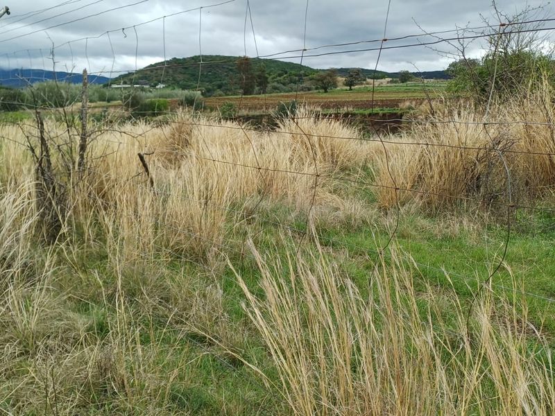 A view of the rural farm landscape featuring open fields and hills, enclosed by wire fencing.