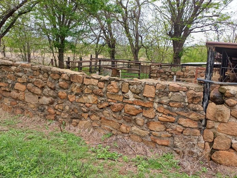A rustic stone wall enclosure with integrated metal livestock fencing and a basic shelter structure, situated in a rural farm setting.