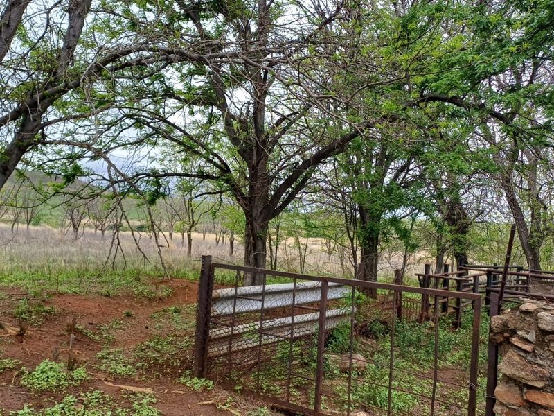A rural farm landscape featuring mature trees, natural terrain, and existing metal and stone boundary fencing.