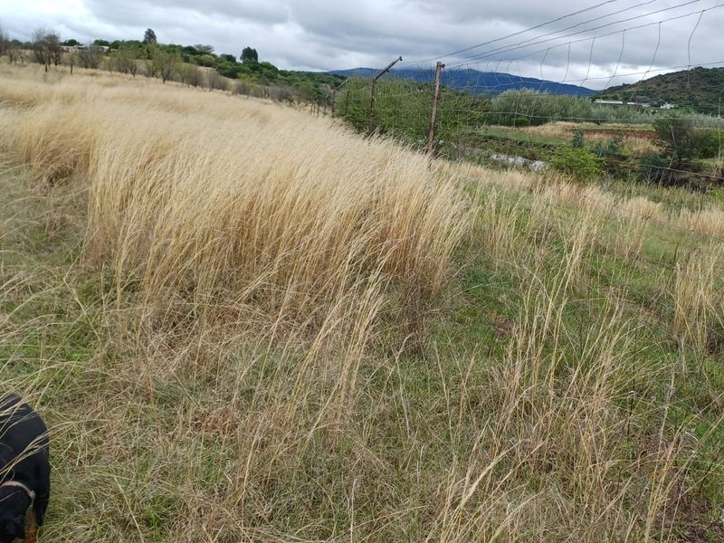 Expansive open farm land featuring natural grass fields and perimeter wire mesh fencing with distant mountain views.