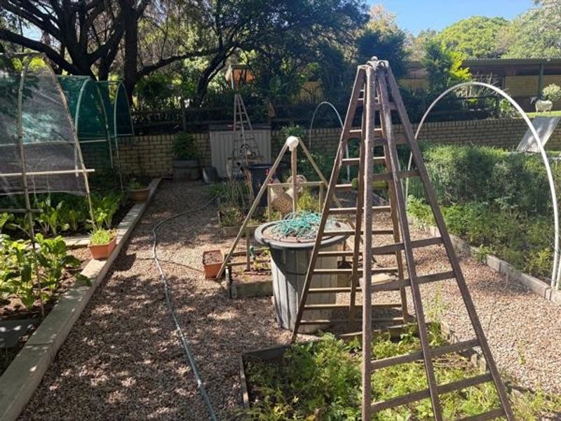 A functional backyard garden featuring gravel pathways, raised planting beds, and established trellis structures, providing a practical space for home gardening.