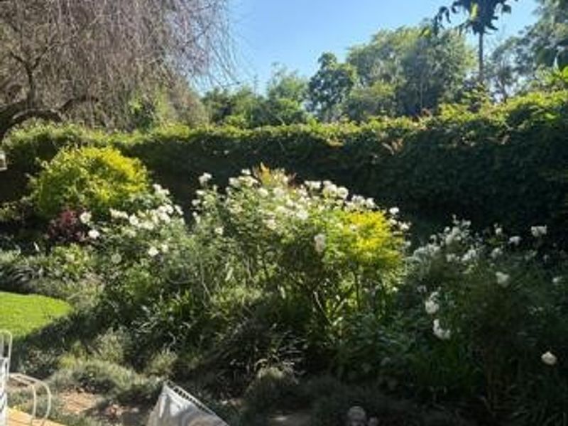 A covered patio area featuring a timber ceiling and tiled flooring, overlooking a lush, well-maintained garden with mature shrubs and flowering plants.