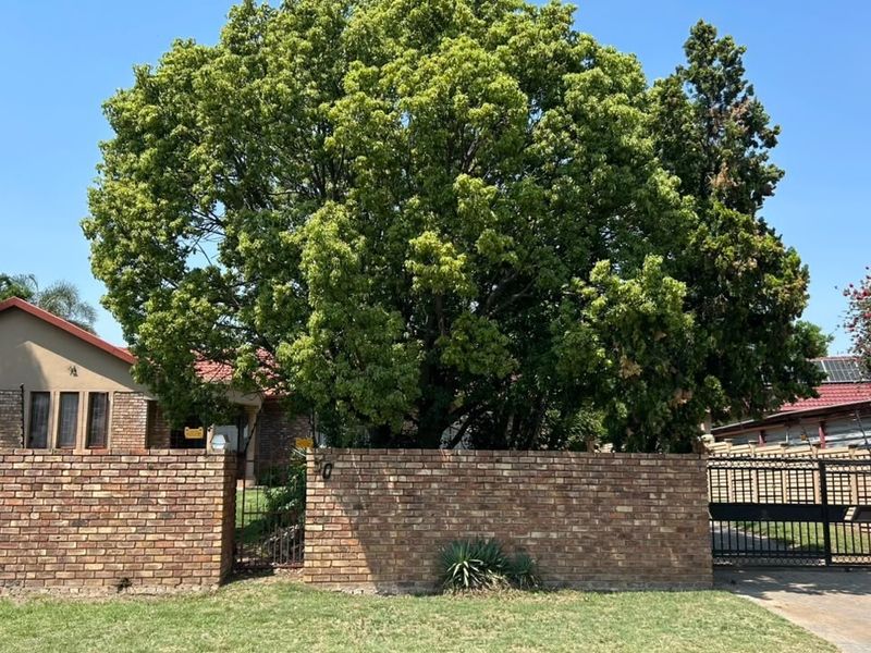 Front view of the property featuring a brick boundary wall, metal driveway gate, and a mature tree providing shade to the house.