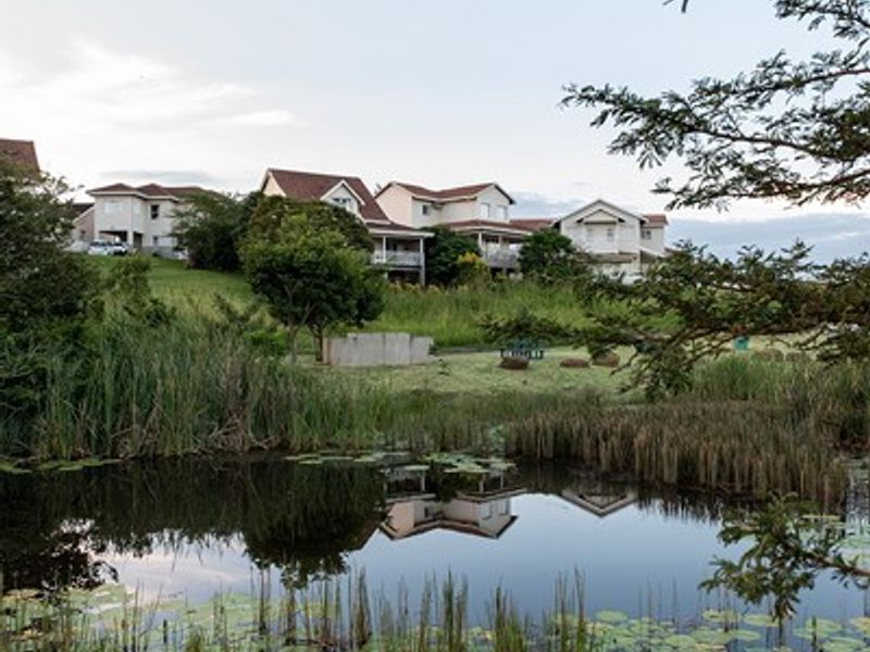 A scenic view of a natural pond with surrounding greenery and residential properties in the background.