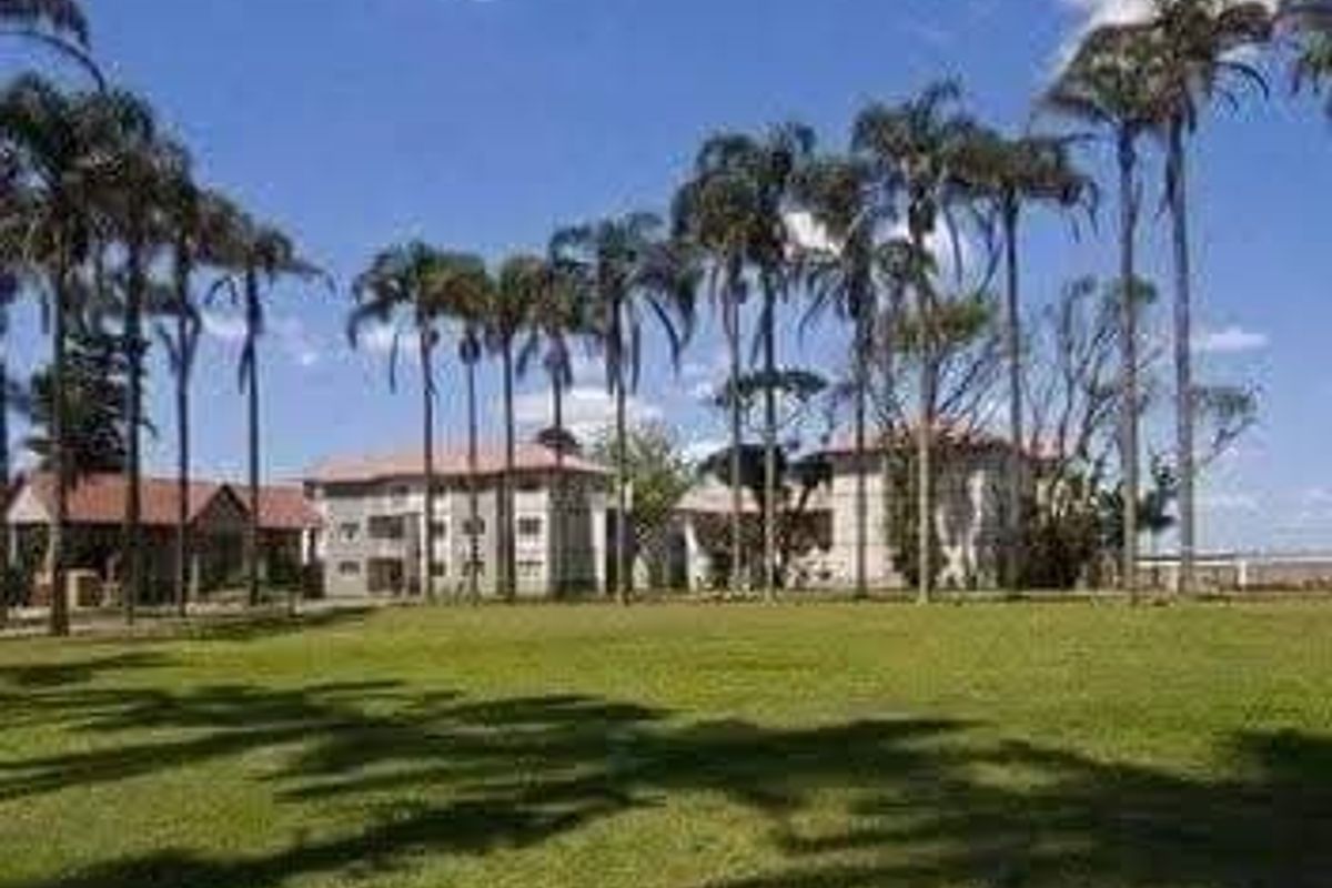 A view of the apartment complex grounds featuring expansive lawns and mature palm trees surrounding the multi-story residential buildings.