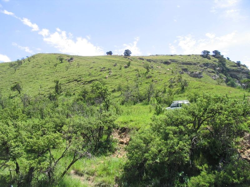 Expansive view of the natural farm landscape featuring rolling green hills, rocky outcrops, and native vegetation under a clear sky.