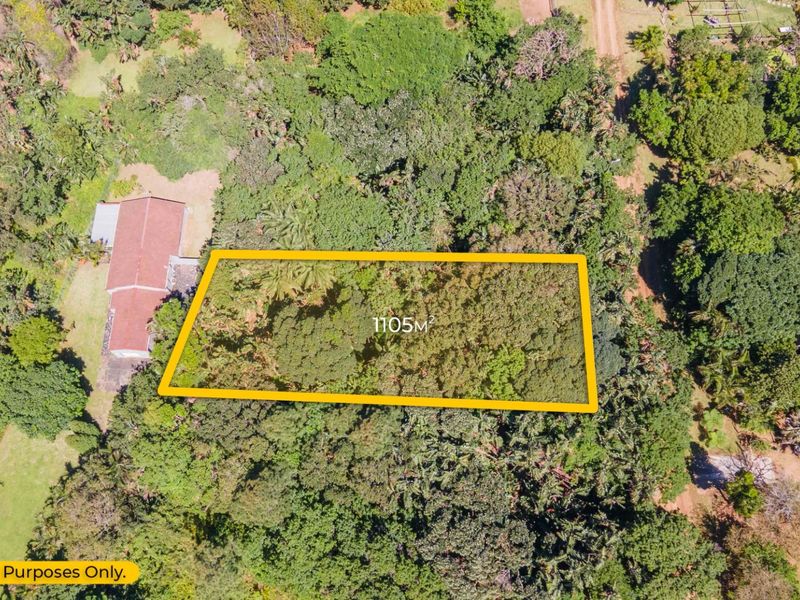 Aerial view of a 1105m² residential vacant land plot, heavily wooded and surrounded by established residential properties.