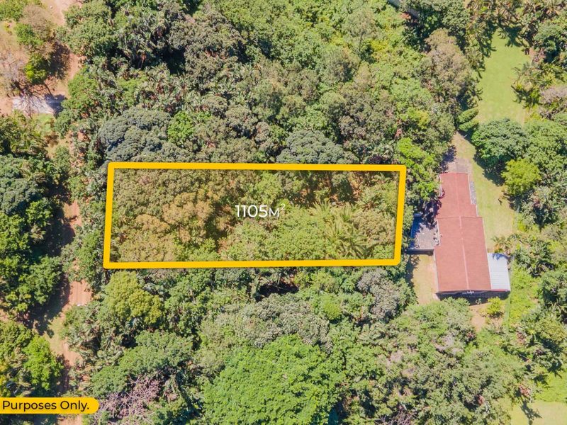 An aerial view of a 1105 square meter vacant residential plot surrounded by mature trees and established vegetation.