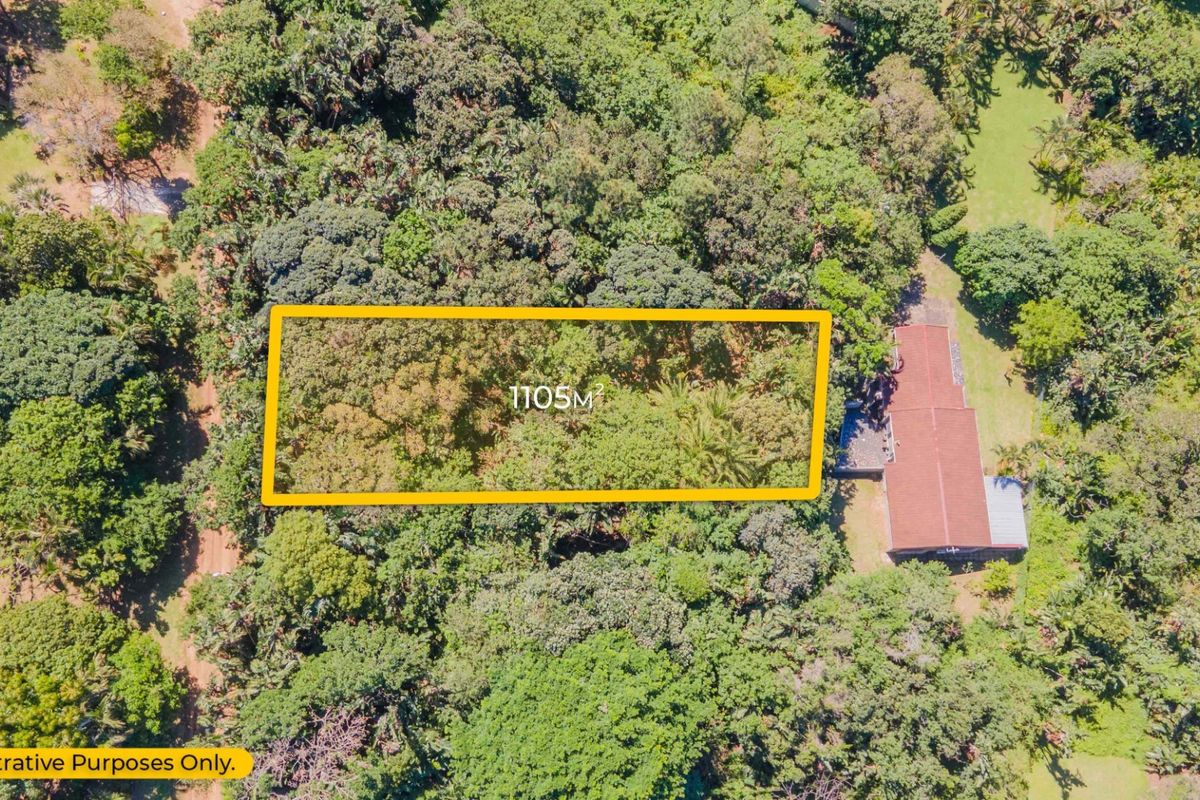 An aerial view of a 1105 square meter vacant residential plot surrounded by mature trees and established vegetation.