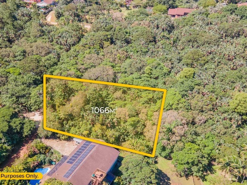 An aerial view of a 1066 square meter vacant residential plot surrounded by dense established trees and vegetation.