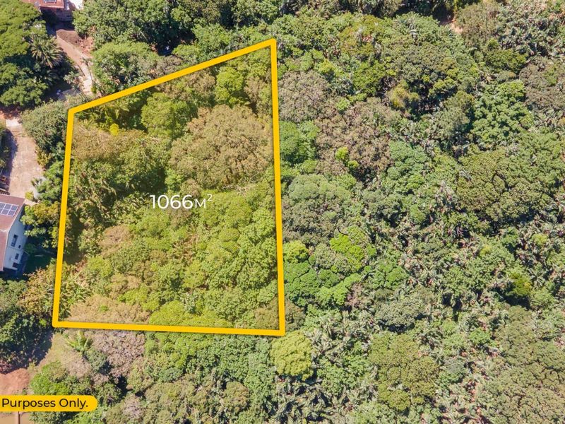 Aerial view of a 1066m² vacant residential plot featuring dense natural vegetation and established trees.