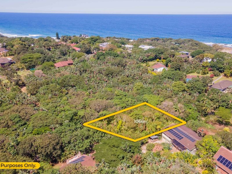 Aerial view of a residential vacant land plot measuring 1066 square meters, situated in a lush coastal area near the ocean.