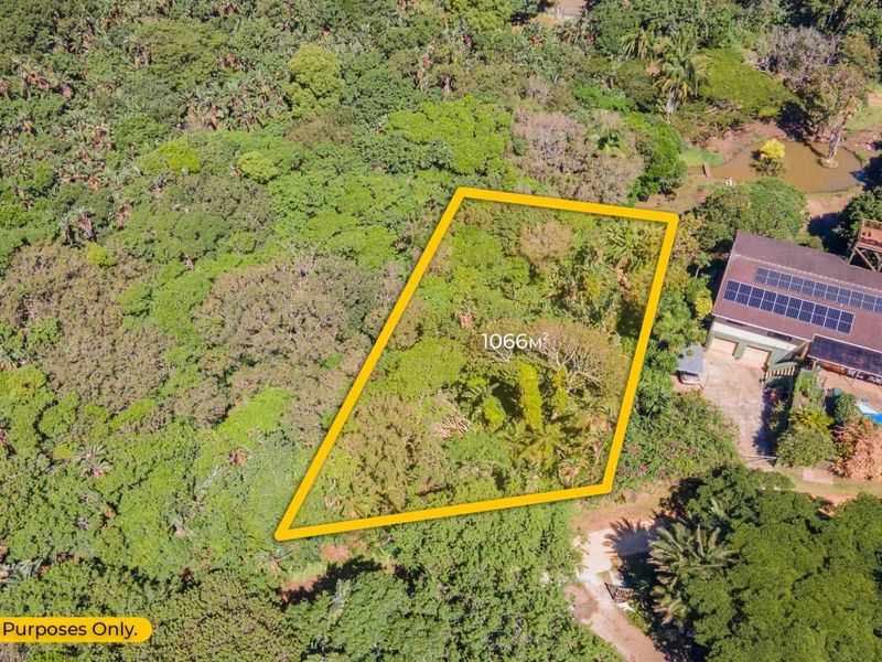 An aerial view of a 1066 square meter residential vacant land plot surrounded by dense vegetation.