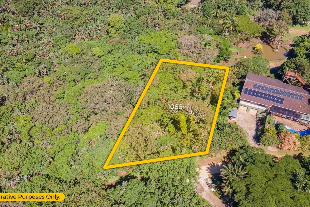 An aerial view of a 1066 square meter residential vacant land plot surrounded by dense vegetation.