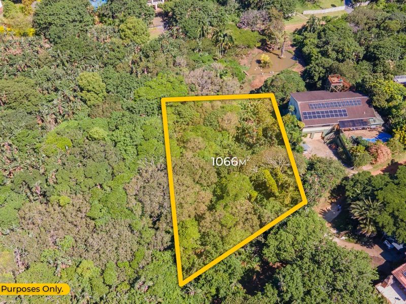 An aerial view of a 1066m² vacant residential plot surrounded by established trees and vegetation in a suburban setting.