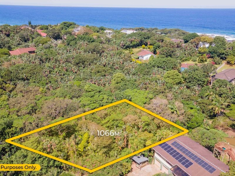 An aerial view of a 1066 square meter vacant residential land plot situated in a lush coastal area near the ocean.