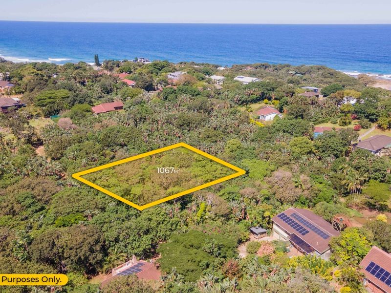 Aerial view of a 1067 square meter residential land plot situated in a lush coastal area near the ocean.