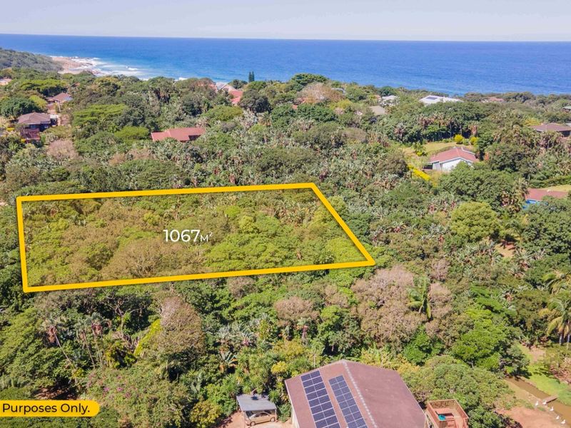 Aerial view of a 1067m² vacant residential plot situated in a lush coastal area with ocean views.