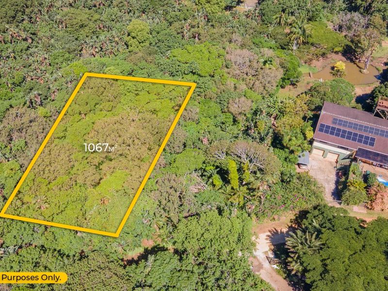 Aerial view of a 1067 square meter vacant residential plot surrounded by dense vegetation and established trees.