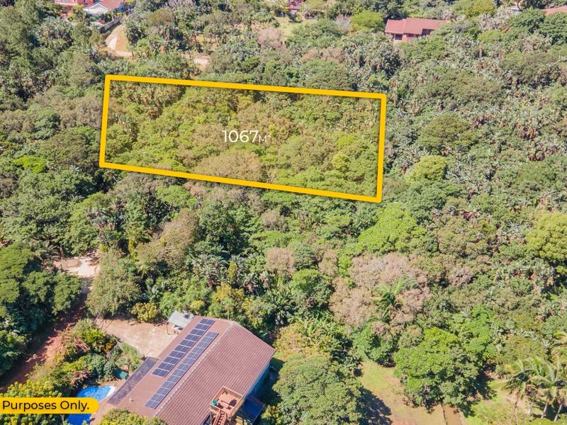 An aerial view of a 1067 square meter residential vacant land plot surrounded by dense established vegetation.