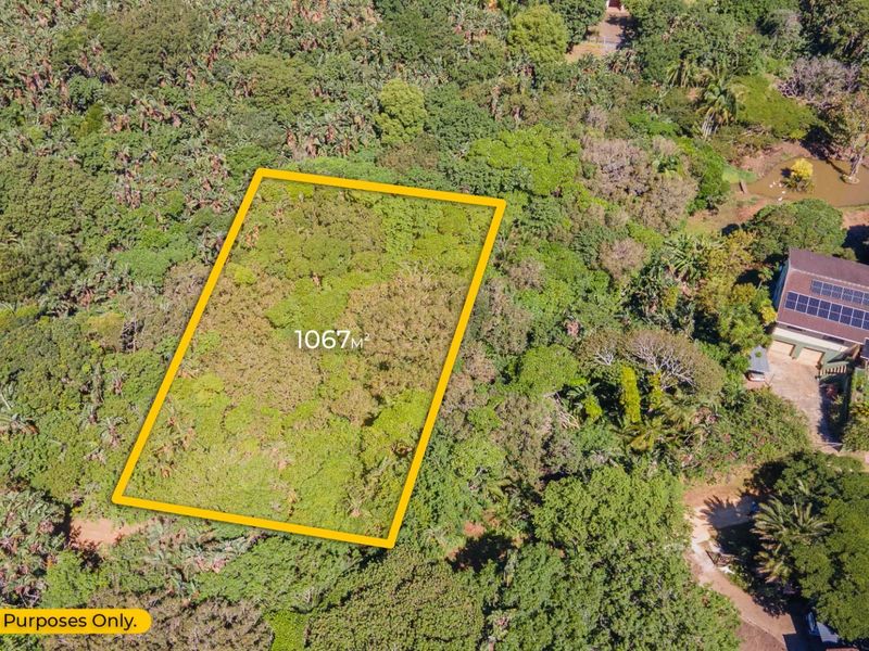 Aerial view of a 1067 square meter vacant residential plot surrounded by dense established vegetation.