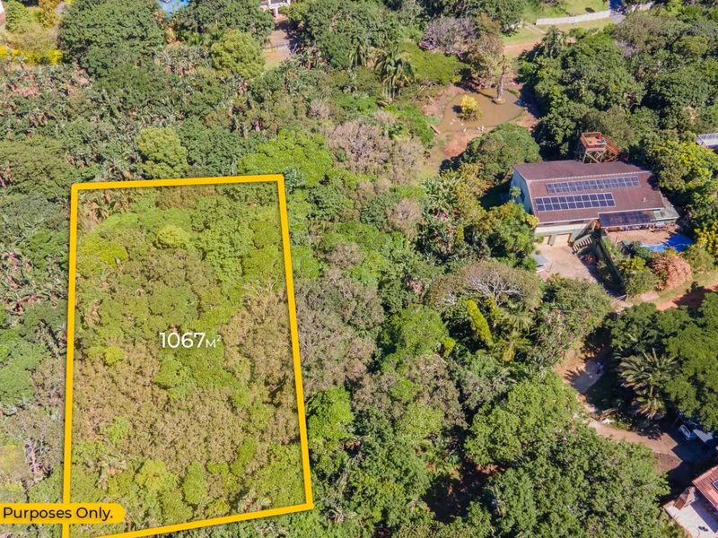 Aerial view of a vacant residential plot measuring 1067 square meters, surrounded by established trees and lush vegetation in a quiet neighborhood.