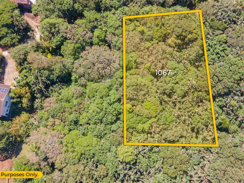 An aerial view of a 1067 square meter vacant residential plot surrounded by dense mature vegetation.