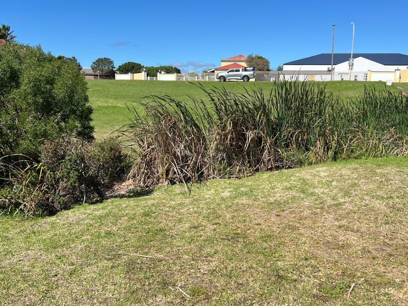 A view of a grassy residential plot featuring natural reeds and shrubbery, bordering a neighboring residential area.