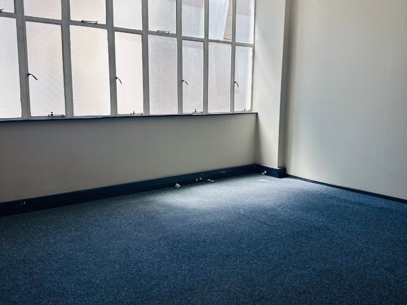 A bright, empty office space featuring large multi-pane windows, blue carpeting, and functional overhead lighting, offering a clean canvas for professional use.