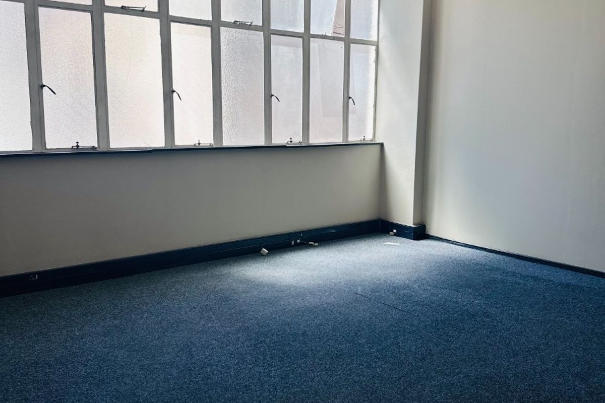 A bright, empty office space featuring large multi-pane windows, blue carpeting, and functional overhead lighting, offering a clean canvas for professional use.