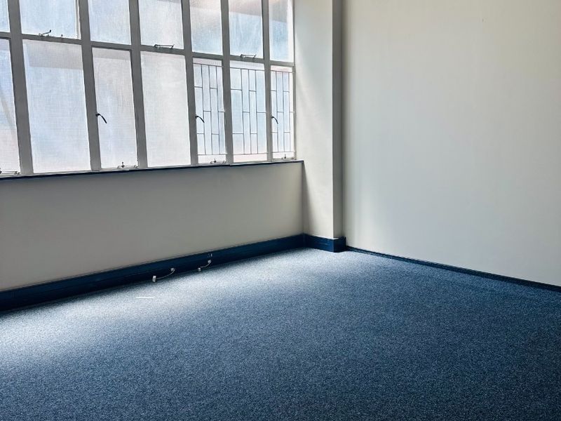 A bright, empty office space featuring large windows, blue carpeting, and a functional lighting track, ready for professional fit-out.