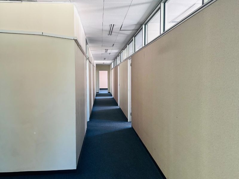 A long, empty office corridor featuring suspended ceilings, clerestory windows for natural light, and blue carpeting throughout.