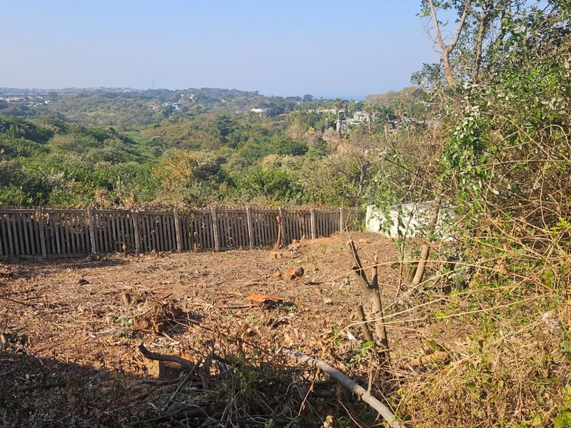 A view of a cleared residential plot featuring a picket fence and surrounding natural landscape.