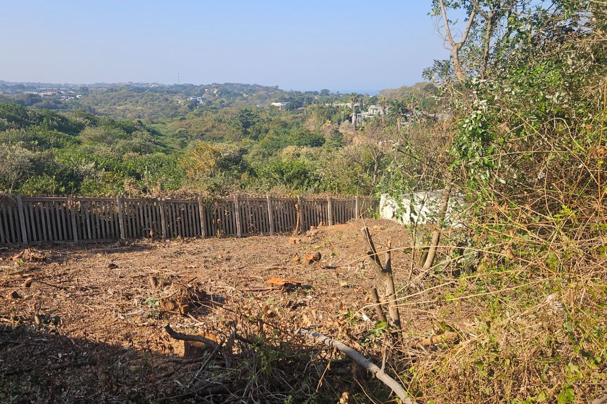 A view of a cleared residential plot featuring a picket fence and surrounding natural landscape.