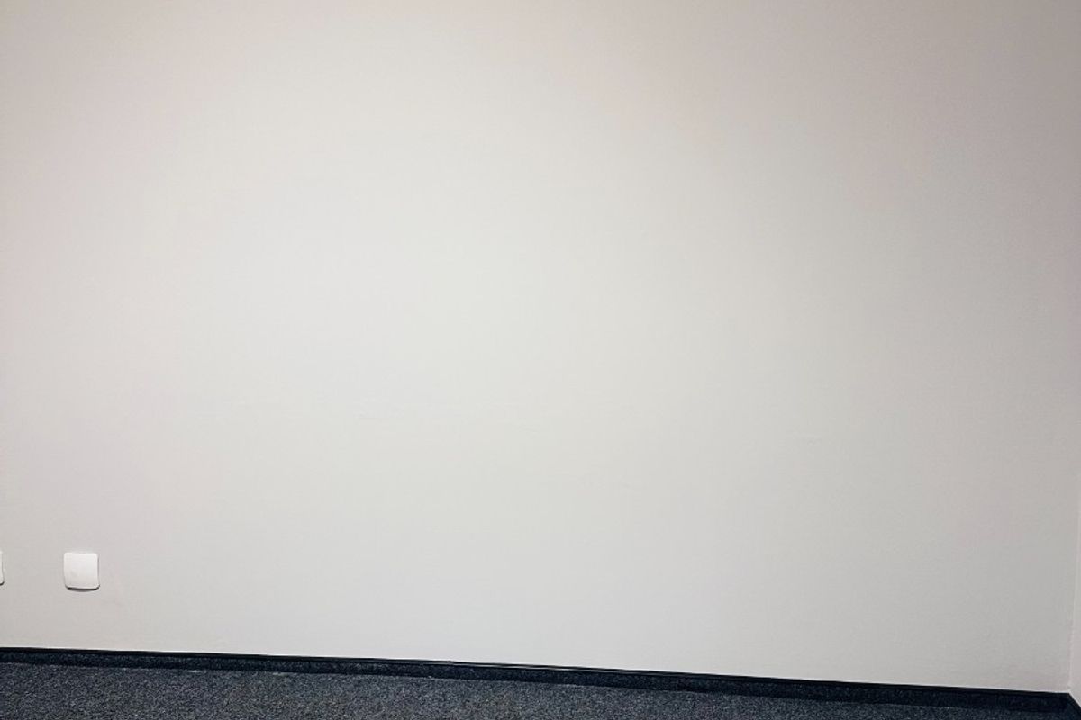 A clean, empty office space featuring neutral walls, carpeted flooring, and a suspended ceiling, providing a versatile environment for professional use.